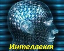 Интеллект