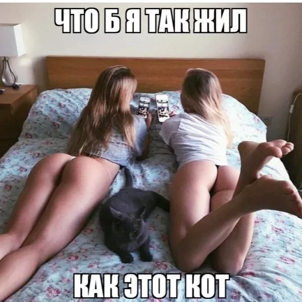 file_101919611