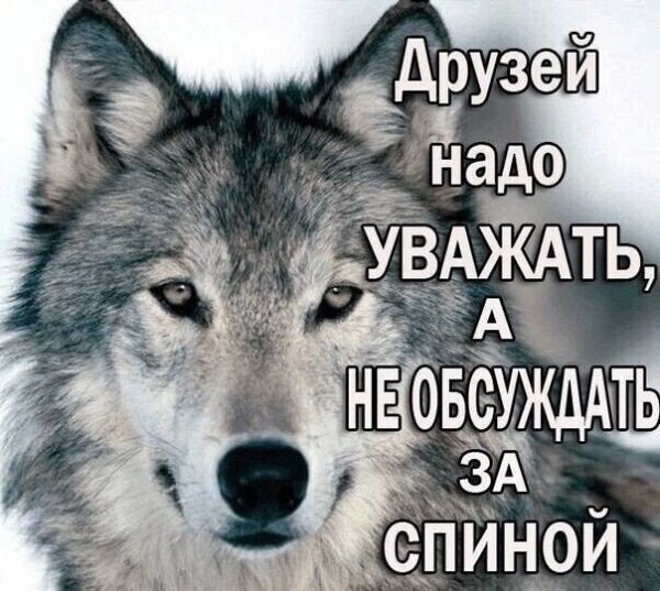 IMG 20250527 193019