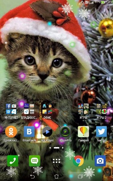 Новый год! Котёнок