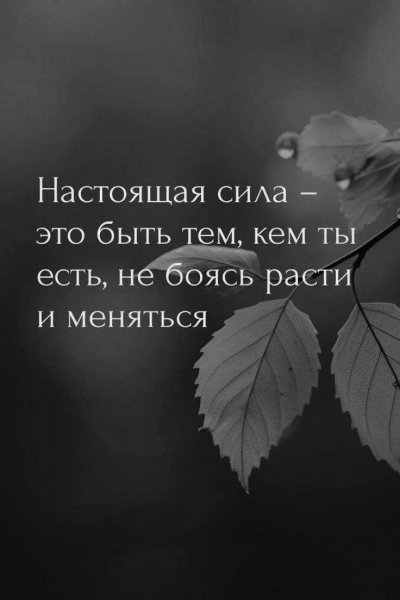 FB IMG 1778076182818
