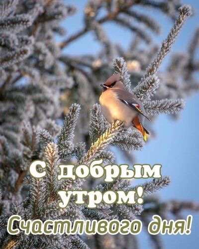 file_92151277