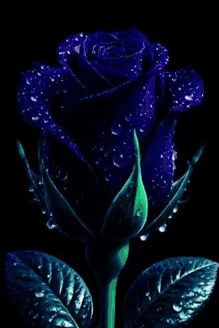 file_102363191