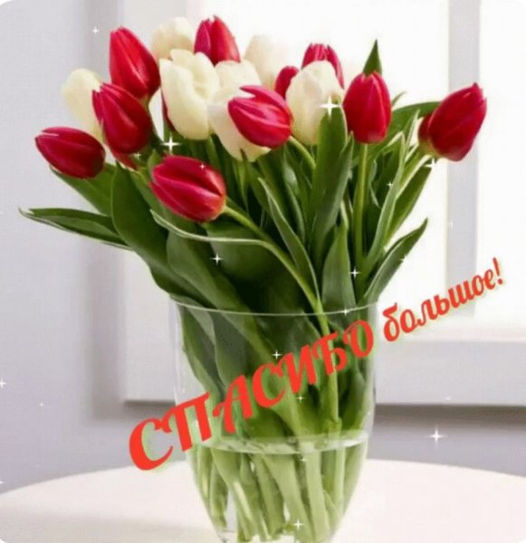 file_99177959
