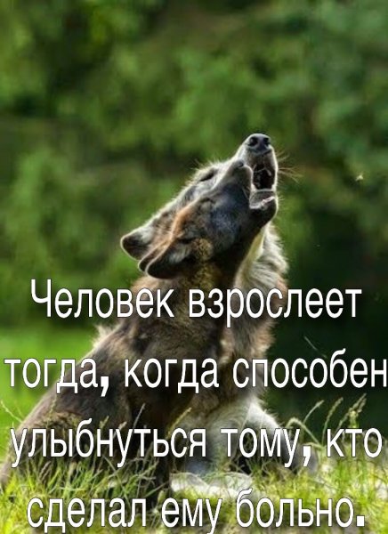 Хорошо сказано