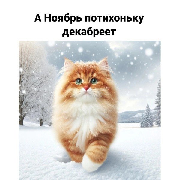 file_95147534