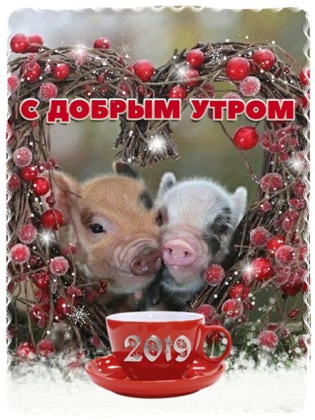 Доброе утро