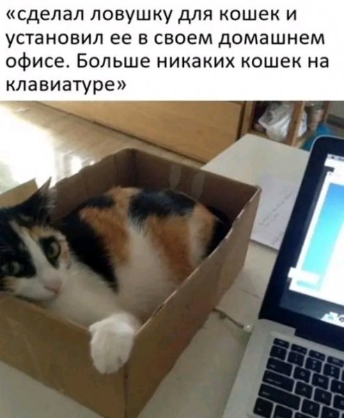 file_103352581