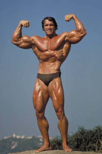 Schwarzenegger-HOAM o tn