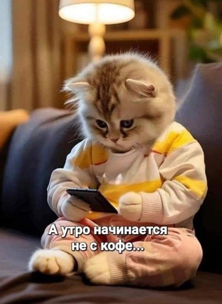 file_95179962