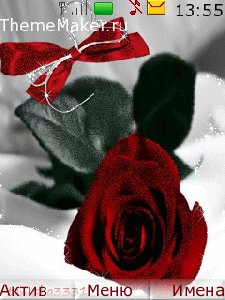 Red rose - love...