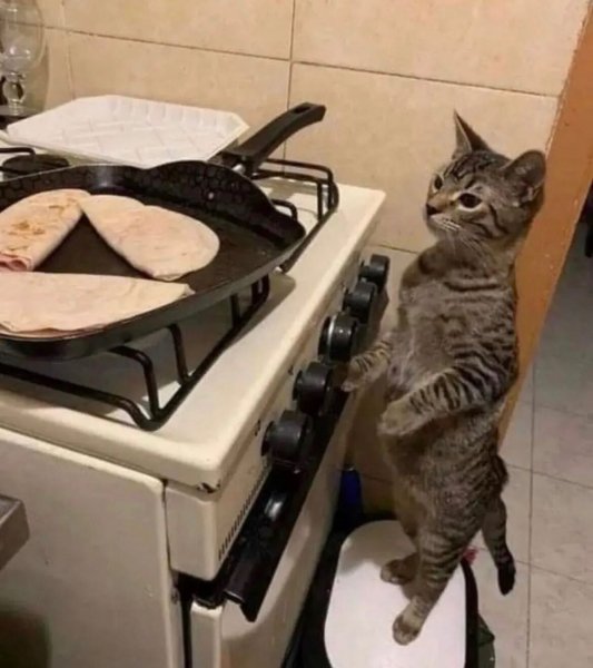 FxjLQZPWwAUOxl1