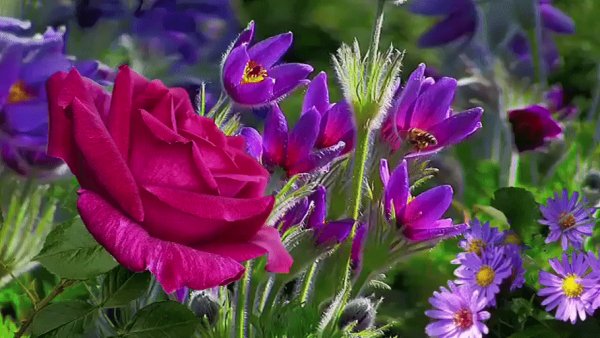 file_81124633