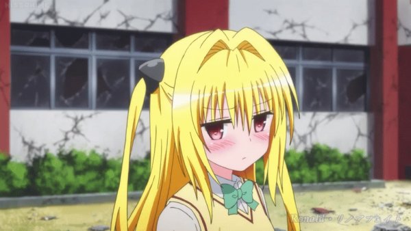Konjiki no Yami