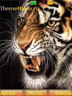 tigry