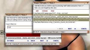 Skopin File Copier.1671-full