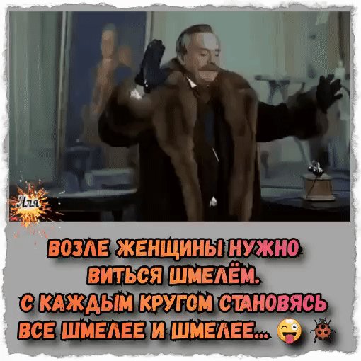 IMG 20260701 141727