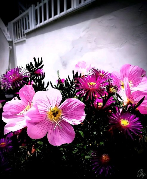 file_96750235