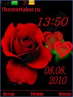 red rose...