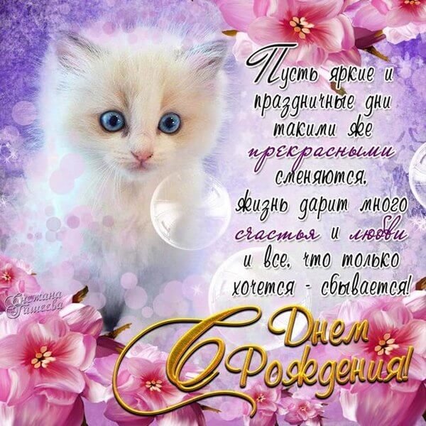 IMG 20181222 630926