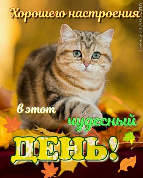 file_90238712