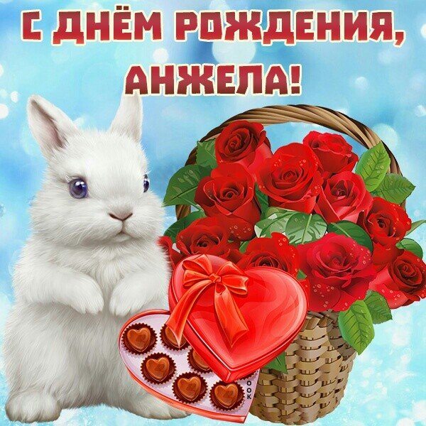 IMG 20221116 015757