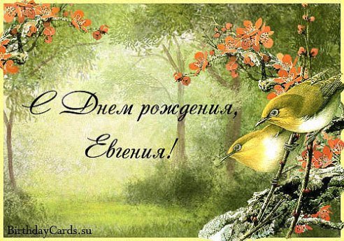 с днём рождения,Евгения
