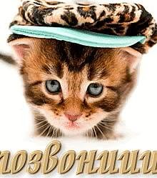 vova-barabanshchik cut