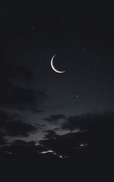 file_96267445