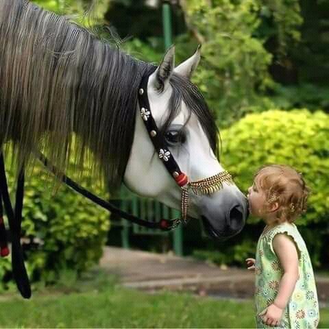 FB IMG 16278280947491205