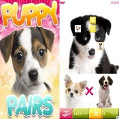 Puppy Pairs 240x320 touch