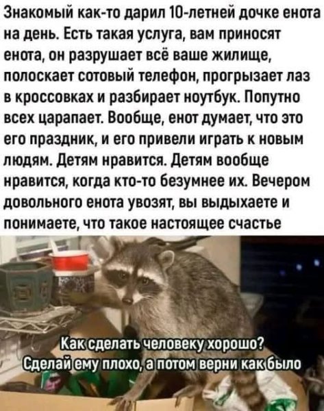 FB IMG 1769720376145