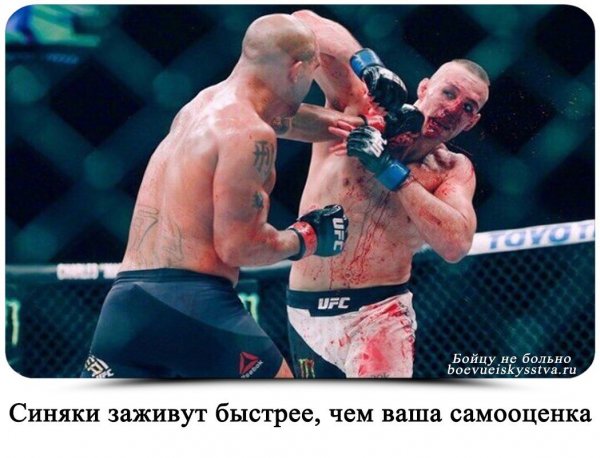 image-13[1]