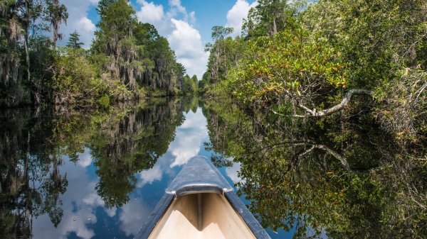 AmericanWetlands ROW0786766679 UHD