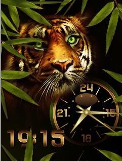 26.06.Tiger