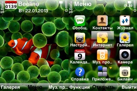iPhone