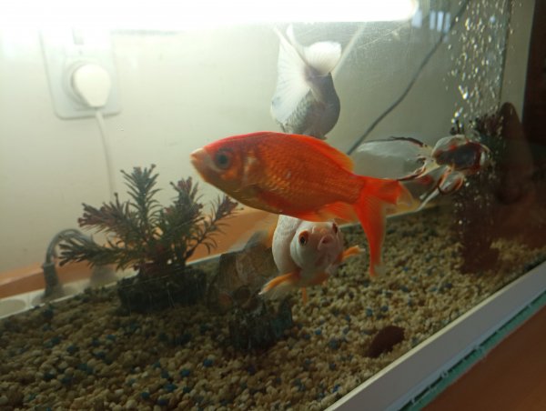 IMG 20230115 101150