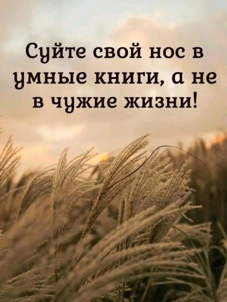 file_95958339