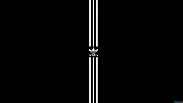 х900