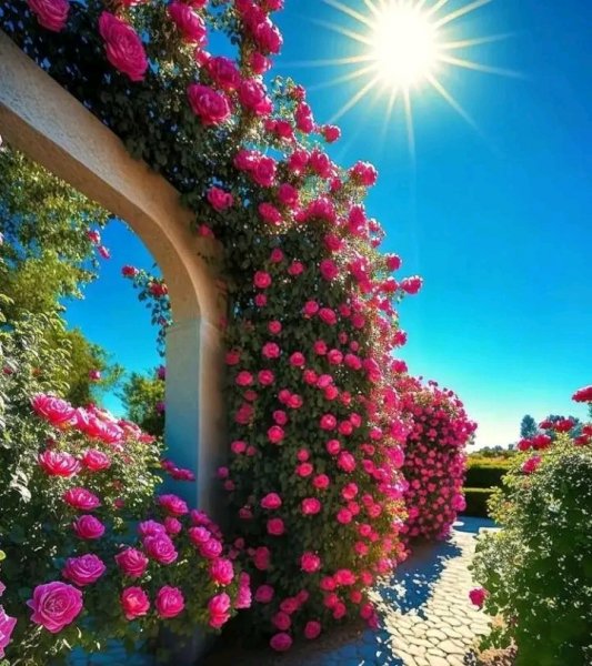 file_96280241