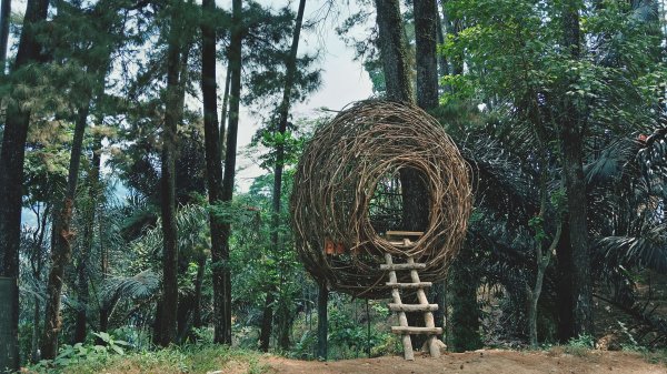 Treehouses Premium