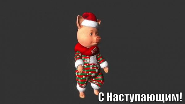 с наступающим.свин танцует