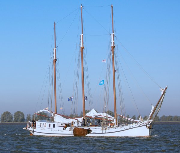 IMG viter59 204908