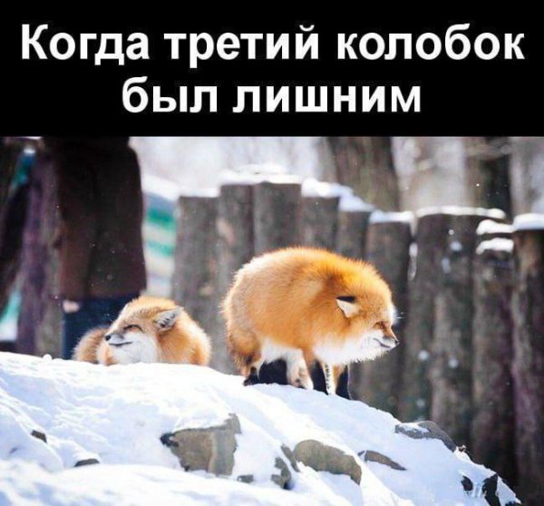 ))