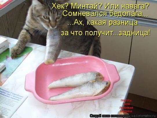 image (10)