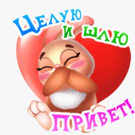 file_93446839
