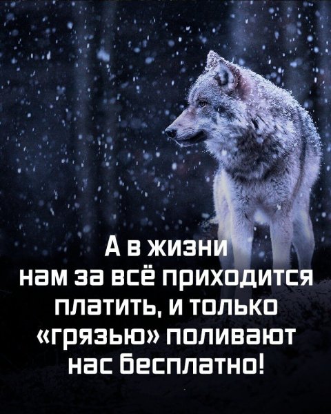 IMG 20260104 190844