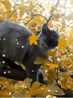 Уже зима (here again)
