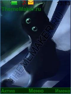 Black Cat