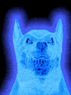 skif Ru-neon 22